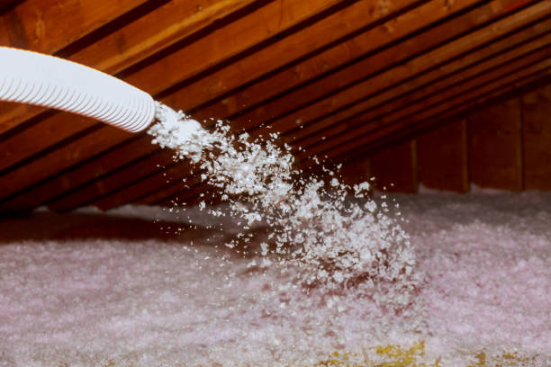 Best Commercial Insulation in Frewsburg, NY